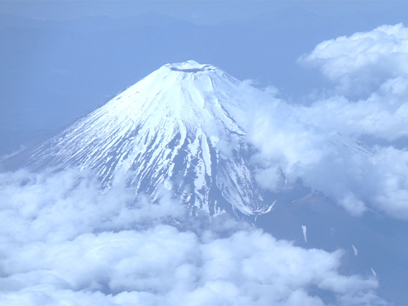 今月の写真